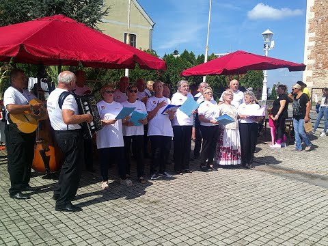 Matica umirovljenika Čazma. Eko sajam Čazma 2022