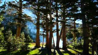 Above The Timberline.mov