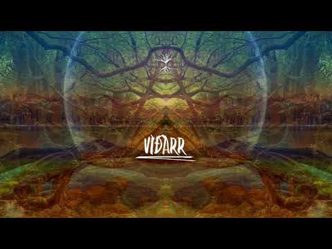 VÍÐARR - Disinfective Moss Therapy [Psygressive Swamp] • DJ-Set • 2O2I