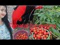 Aaj Humne Apne Badi Se Tamatar Video Ko Pura Dekhna