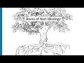 Roots Of Nazi Ideology