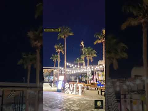 SALT ICE CREAM | Vlog 8 | Taste of UAE | Mallu Arbab Vlogs |  Samil & Akshay