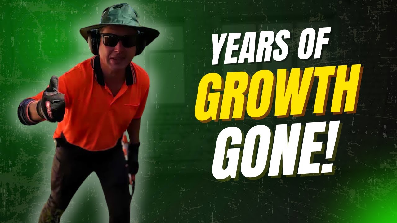 Years of growth cleaned up in a few hours! Satisfying transformation.