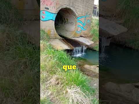 “Lo que tirás en la calle puede terminar acá” #tresarroyos #comunidad