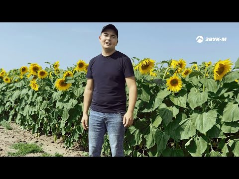 Валерий Милютин - Трактористы | Премьера клипа 2023