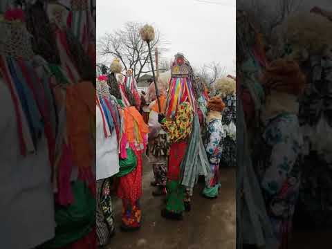 Ursul de la Blagesti 2019-2020