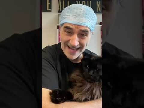 Happy 10th Anniversary Humanimal Trust - A message from our founder, Professor Noel Fitzpatrick