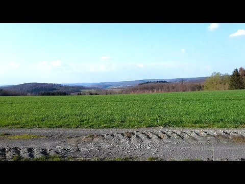 Das fast misslungene Panoramapicknick