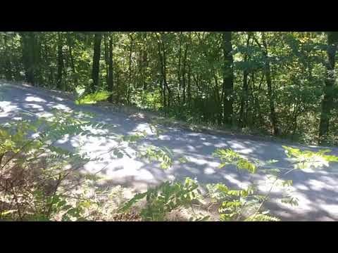 54.Serbia rally 2021.😉