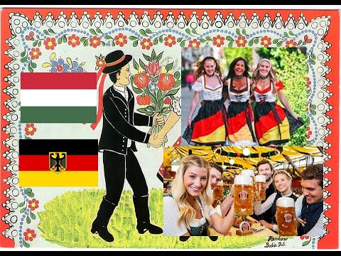 WAS DENKEN DIE UNGARN ÜBER DIE DEUTSCHEN ?