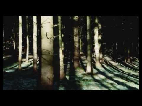 Rainforest - Swamp Dream [MNCH010] *video