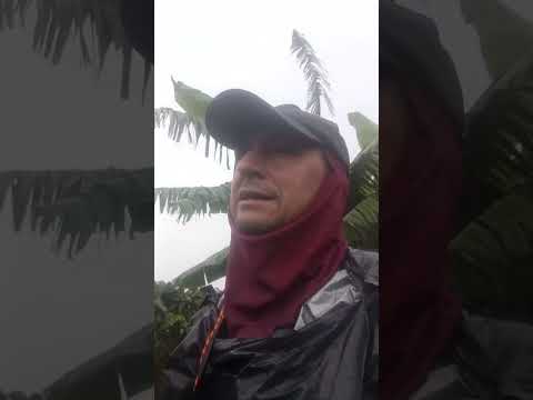 no hay cuadres en #timana  #huila #café #antioquiacolombia #turismo #federacióndecafeteros