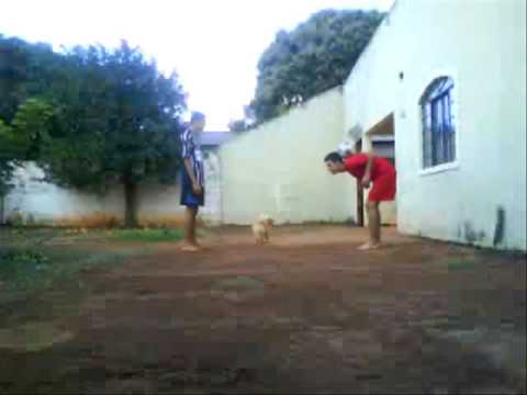 Domínio de la Pelota!