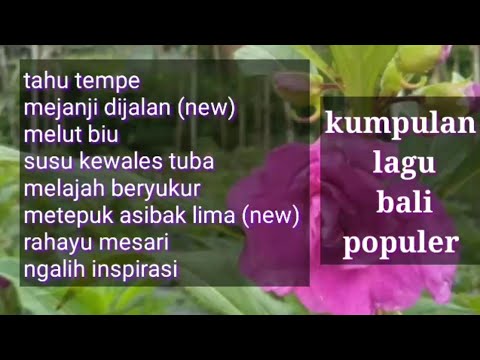 kumpulan lagu bali populer 🔴 Mejanji dijalan, melut biu, melajah bersyukur, rahayu mesari
