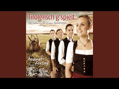 Mein Weg führt mich zu dir