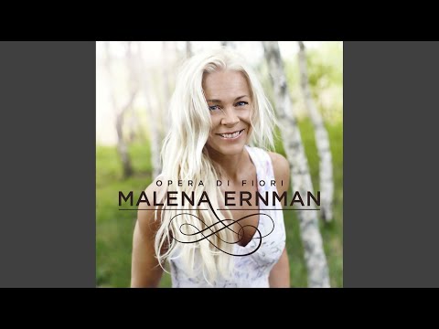 Die Zauberflöte, K. 620, Act II: Der Hölle Rache