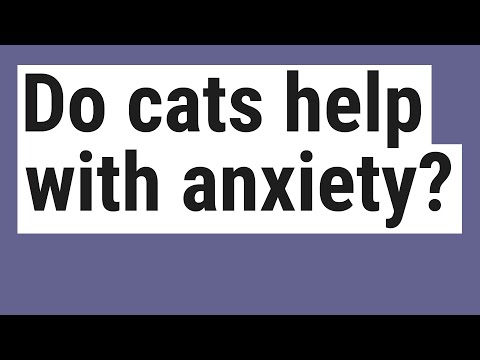 Do cats help with anxiety?