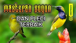 Download lagu MASTERAN SOGON & PLECI ENAK mp3