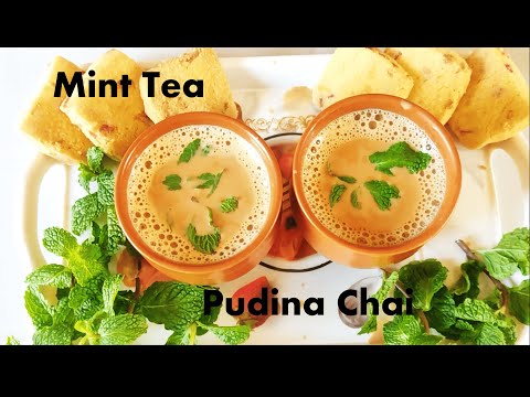 Pudina Tea Recipe | Mint Milk Tea | Pudina Ki Chai /Mint Chai /Healthy Refreshing Mint Tea| Mint TEA