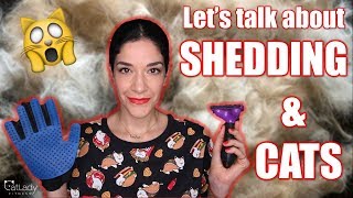 Why do cats SHED so much?! Is it normal? (Let's talk about SHEDDING) 🙀🐱