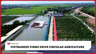 Vietnamese firms drive circular agriculture | Vietnam Today