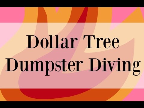 Dollar Tree Dumpster Diving Last Night Video