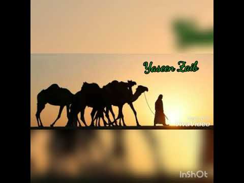 Gidaane Tena Arfenon .Ustad ubaidullAh brahvi song