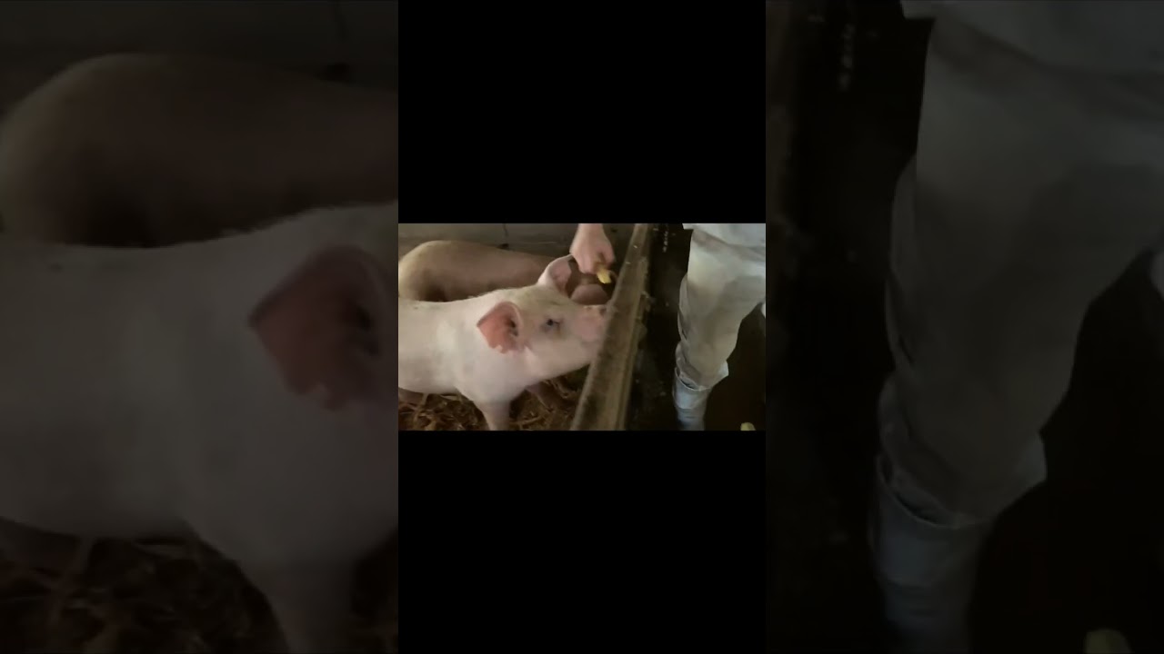 【聖書の言葉】信じる者は救われる