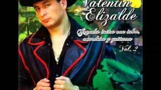 Mi Virgencita (Con tuba, Acordeon Y Guitarra) - Valentin Elizalde