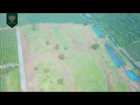 THE GEMS PARADISE II - VIÊN KIM CƯƠNG TRÊN BẢO LỘC