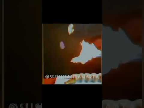 #hashtags me encanta el sushi