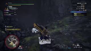 モンハン配信中♪