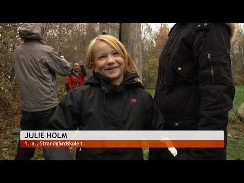 Sundhedsuge på Strandgårdskolen - TV-Ishøj