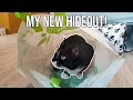 How My Tuxie Reacts To A Plastic Bag