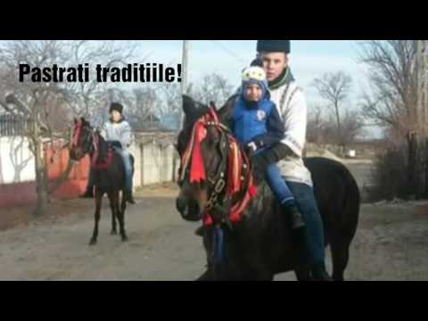 Plugul cu caii la Cochirleanca 31.12.2016!