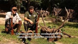 охота в Болгарии, Hunting in Bulgaria, ov Bolqaristanda