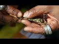 Jah Cure A Smoke Of Marijuana Music Video