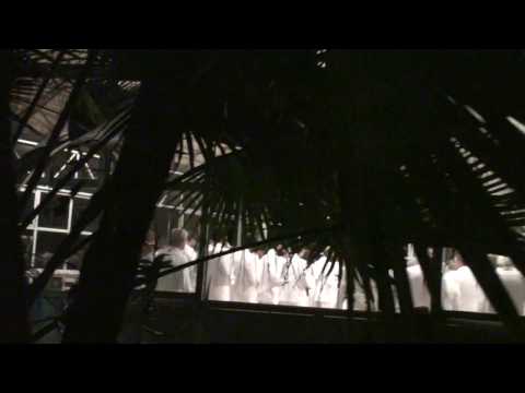 CANTAR IR - FLOR DE JAGUBE - N.S. DA CONCEIÇÃO 2016