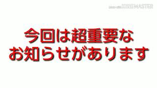 絶対に見てください