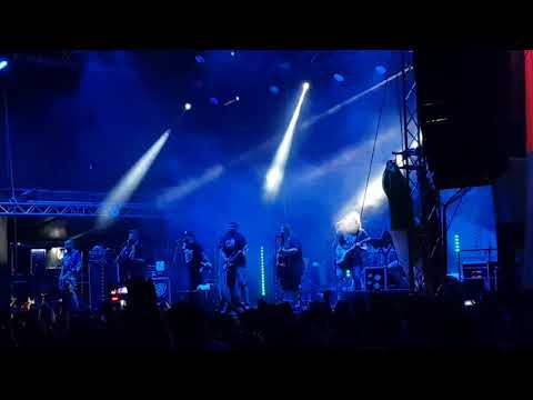 Divokej Bill - Král