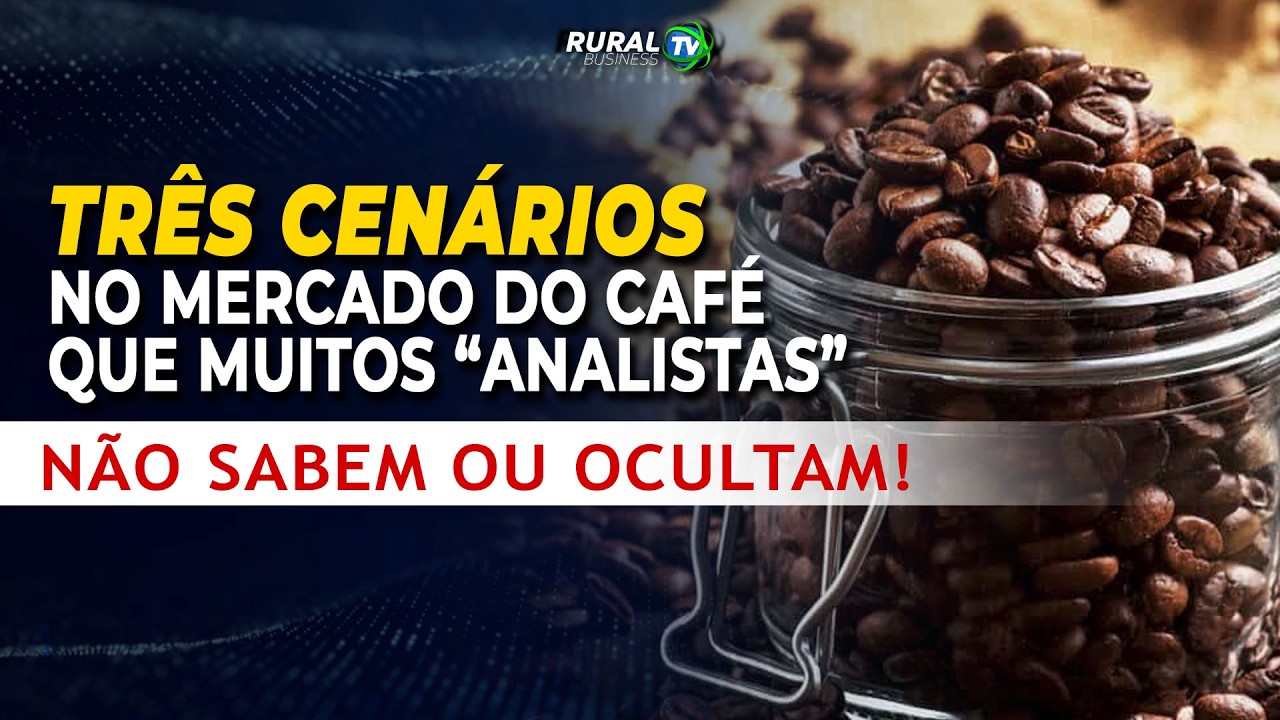 TRÊS CENÁRIOS NO MERCADO DO CAFÉ QUE MUITOS “ANALISTAS” NÃO SABEM OU OCULTAM!