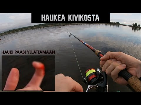 LÖYTYYKÖ TANKKAAVAT SYYSHAUET?