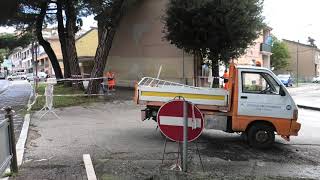 ariano-l-albero-di-cardito-verra-presto-abbattuto-vitillo-e-le-competenze