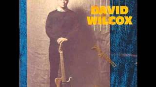 David Wilcox: That Hypnotizin' Boogie