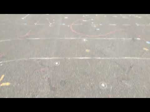 Exploring Rashtrapati Bhavan: The Presidential Palace of India