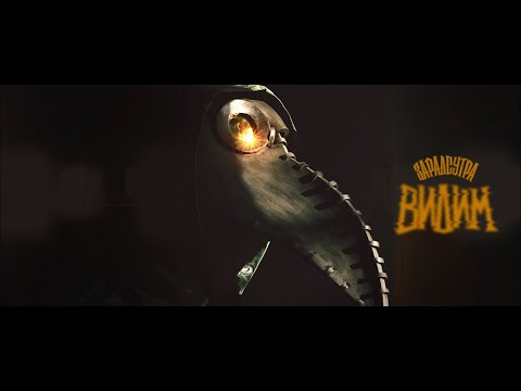 Zaradsutra - VIDIM (official video)