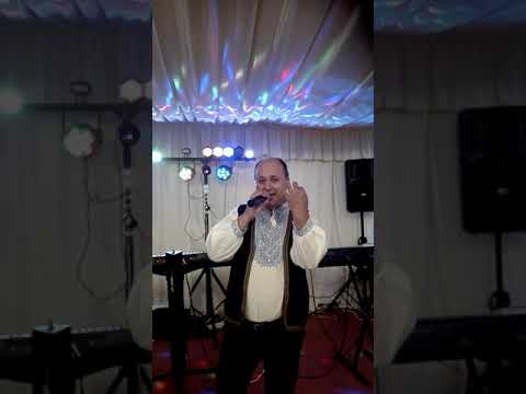 Formatie nunta Curtea de Arges ,,Dina fan music"0749246165