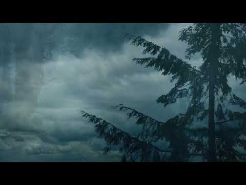 A Solitary Mans Soul - Lars Eriksson