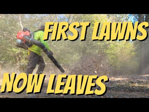Redmax 8550 Backpack Blower Review -- Power Test In Real Lawn Care