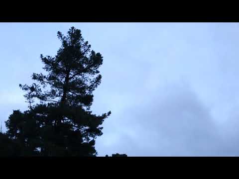 download lagu mp3 mp4 Riroriro Song, download lagu Riroriro Song gratis, unduh video klip Riroriro Song